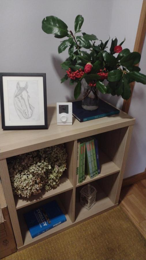 Alameda 5 Apartman Oviedo Kültér fotó